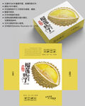 榴莲包装 水果盒子