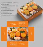 橙子包装 水果盒子