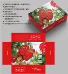 草莓包装 水果盒子