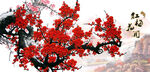 梅花国画梅花
