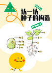 种子科普海报