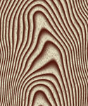 木纹 