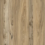 天然 新木纹清晰图 TIF合层