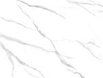 人气 清晰鱼肚白画 TIf合层