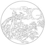 牡丹 