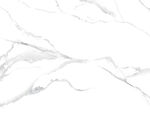 质感 简约新鱼肚白 TiF合层