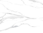 高端 简约新鱼肚白 TiF合层