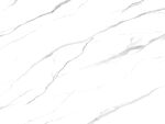 高雅 新奢华鱼肚白 TiF合层