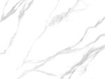 爆款 新传鱼肚白纹 TiF合层