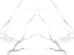 高雅 新传爵士白纹 TIF合层