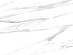 新传 新品爵士白纹 TIF合层
