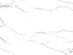 新传 简奢鱼肚白纹 TiF合层
