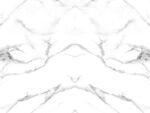 奢雅 简奢雅士白纹 TIF合层