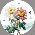 国画菊花
