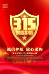 315海报