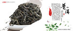 普洱茶