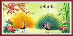 孔雀图