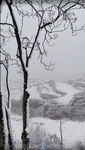 雪花飞舞