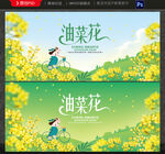 油菜花
