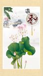 荷花图