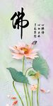 荷花玄关