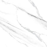 奢华 清晰雅士白图 TIF合层