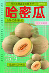 哈密瓜