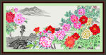 牡丹花 