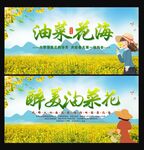 油菜花节