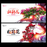 杜鹃花