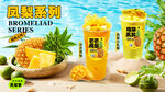 凤梨系列海报