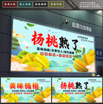 杨桃