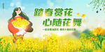 油菜花