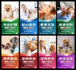 宠物店展板