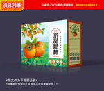 柿子包装 柿饼礼盒