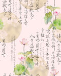 荷花国风文字