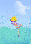花 雨