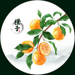 橙子插画