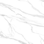 高雅 新传雅士白图 TIF合层