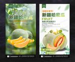 哈密瓜