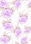 玫瑰花