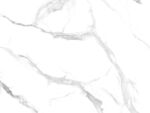 新传 轻奢新爵士白 TiF合层