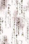 扎染花