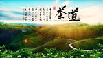 茶道茶园背景墙