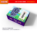 葡萄包装 巨峰礼盒