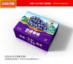 葡萄包装 巨峰礼盒