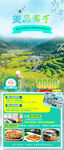 华东黄山旅游手机海报