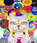 卡通猫