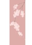 梨花
