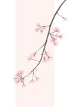 海棠花